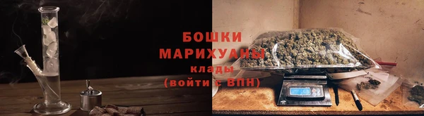 прущий лед Новозыбков