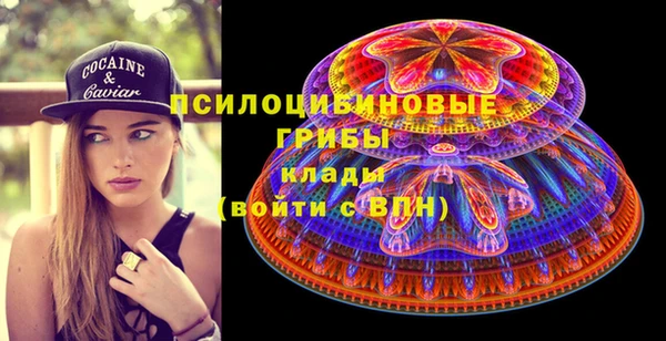 герыч Няндома