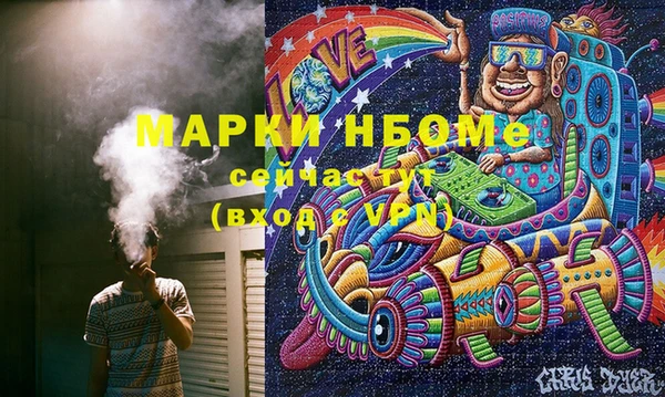 стафф Новокубанск