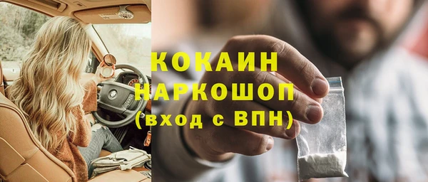 прущий лед Новозыбков