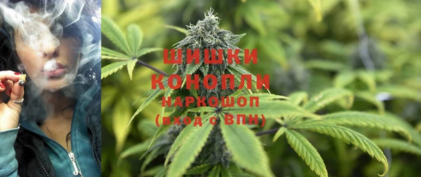 стафф Новокубанск