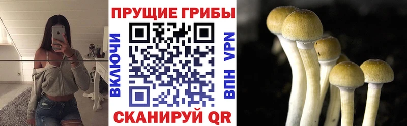 Псилоцибиновые грибы мухоморы  Краснокамск 