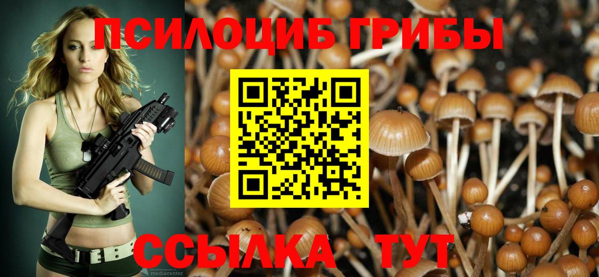 Псилоцибиновые грибы Magic Shrooms  Краснокамск  Псилоцибиновые грибы Cubensis 